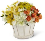 Sunny Surprise Basket from Backstage Florist in Richardson, Texas